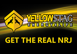 Yellow Stag Banner
